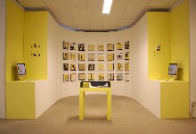 Eindexamenproject Alles is Mais